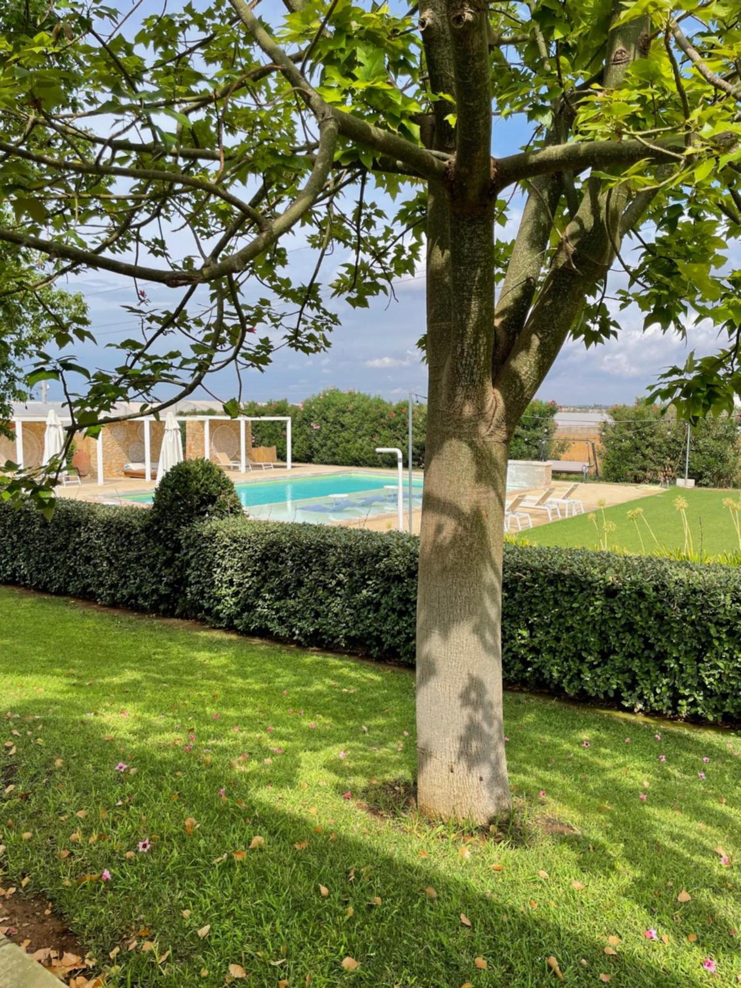 Farm stay Podere40 Country