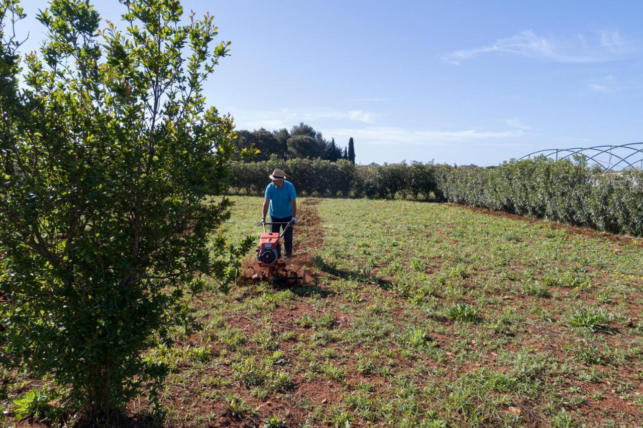 Podere40 Country Farm stay *
